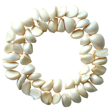 garlic on transparent background 
