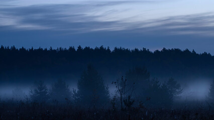 Fototapeta premium Foggy autumn morning in the field. Mystic autumn sunrise.