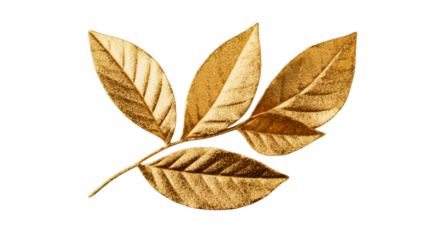 Golden leaf branch art decor element, natural luxury, glitter, cut out transparent