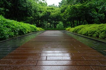 Tranquil Rain Soaked Pathway in Lush Green Park Serene Nature Scene