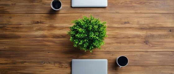 Flatlay of Wooden Desk with Laptops Coffee Cups and Greenery