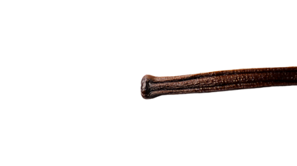 Vanilla bean detail, close-up culinary, flavor, seed, cut out transparent