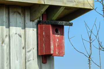 A wooden birdhouse painted in red is attached to a weathered wooden shed. The bright blue sky contrasts sharply with the detailed texture of the wood