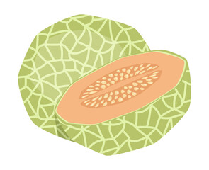 Vector isolated whole melon with half melon