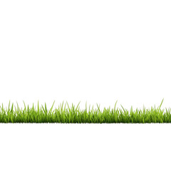 Naklejka premium A lush, green grass border against transparent background, perfect for design projects needing natural touch. vibrant blades of grass create fresh and lively atmosphere