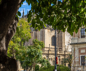 Vieww of part of the cathedral in Seville through vegetation.