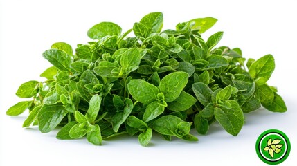 Fototapeta premium Fresh pile of mexican oregano leaves captured in a realistic high-quality isolated photo for culinary use