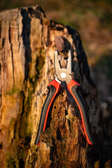 Combination pliers photographed in nature