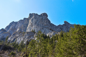 majestic mountins,high peaks, fabulous green forests atthe foot of the mountain peaks, wild nature