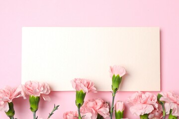 Beautiful bouquet of pink carnations with paper card on a colored background