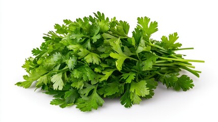 Fototapeta premium Vibrant bunch of sawtooth coriander leaves displaying freshness and lush greenery in a natural arrangement