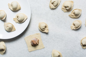 Overhead view of raw homemade wontons on a white countertop, top view of chicken dumplings on white background, process of making dumplings	