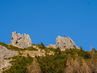Majestic Rocky Peaks Rising Above Alpine Forest Under Clear Blue Sky in Mountain Wilderness