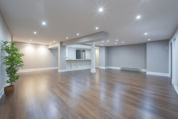 Modern open concept basement featuring recessed lighting and elegant wood like flooring, creating a spacious and inviting atmosphere