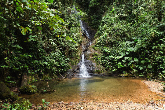 Tranquil waterfall in Choco Andino rainforest, Ecuador