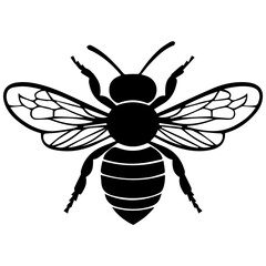 Fototapeta premium Flying Bee Design, Bee Clipart Design, Anthophila isolated, ‎Honey Bee Illustration, Cute Bee Graphics, isolated on white background 