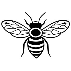 Fototapeta premium Flying Bee Design, Bee Clipart Design, Anthophila isolated, ‎Honey Bee Illustration, Cute Bee Graphics, isolated on white background 