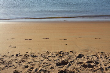 footprints on the beach