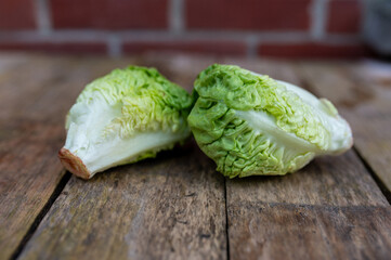 Raw organic Belgian endive ready to use on wooden table