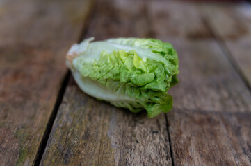 Raw organic Belgian endive ready to use on wooden table