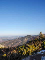 Snow-Dusted Mountain Summit with Lush Pine Forest and Sprawling Valley View Under Clear Blue Sky