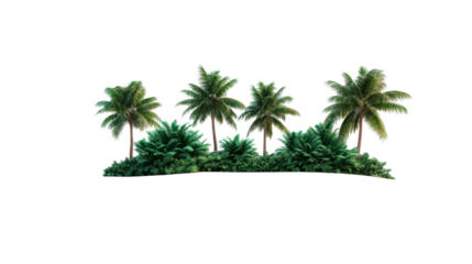 Tropical Trees Landscape isolated against a Black Backdrop, cut out transparent