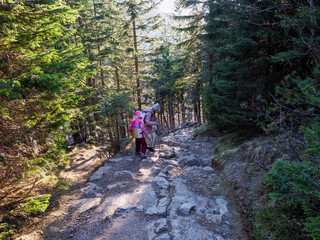 Child Explorer in Pink Jacket Navigating Rocky Forest Path During Sunny Mountain Hike