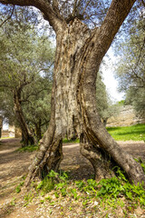 Villa Adriana, Tivoli, Latium, Italien, UNESCO Weltkulturerbe