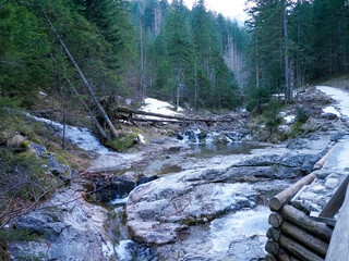 Rocky Mountain Stream with Snow Patches and Wooden Log Bridge in Dense Coniferous Forest Landscape