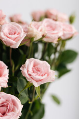 Close-up, bouquet of small pink roses on a white background.