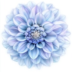 Obraz premium Light blue dahlia flower with symmetrical petals