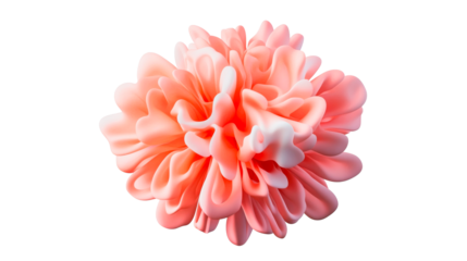 Pink abstract flower with curved petals on black background, cut out transparent