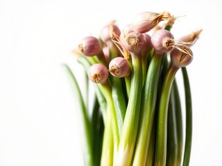 Fresh Spring Onions, Healthy Ingredient