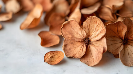A close-up of dried cinnamon flowers spread evenly on a white background, showcasing their unique shapes and aromatic qualities.