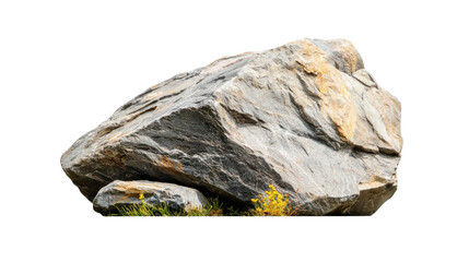 Large Textured Rock on a Grass Surface Surrounded by Nature