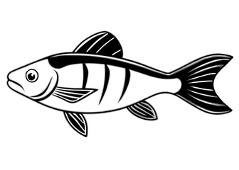 Vector Illustration of Fish on White Background