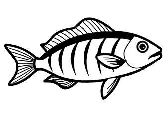 Colorful fish vector illustration on a white background