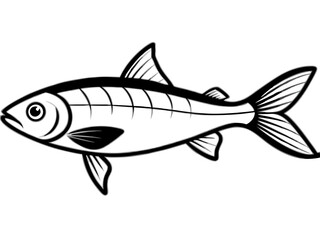Freshwater fish illustration on a white background