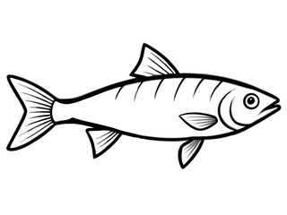 Fish silhouette on a white background, isolated marine animal illustration