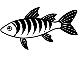 Vector illustration of a fish on a white background, depicting aquatic life and marine nature