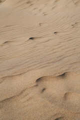 Sund Dunes, Summer, Travel, Blue sky. Portugal