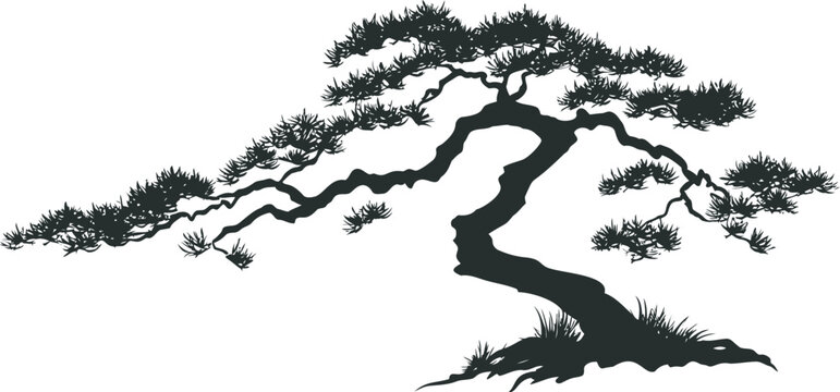 Silhouette of a bonsai tree with spreading