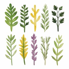 Fototapeta premium Various types of leafy herbs arranged in a creative layout showcasing their unique shapes and colors