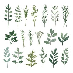 Fototapeta premium Diverse assortment of green herbs arranged artistically on a neutral background
