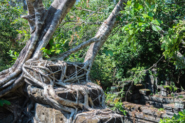 Bangmealea Temple, Angkor Wat, ancient temples, Khmer civilization, Cambodia