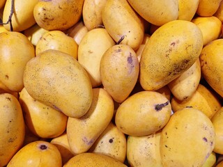 Ripe mangoes background image 4:3 aspect ratio