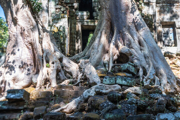 Preah Palilay Temple, Angkor Wat, ancient temples, Khmer civilization, Cambodia