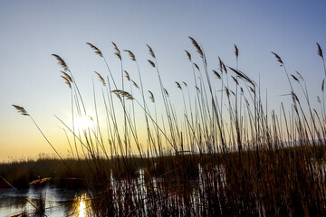 Neusiedler See im Winter, Europas grösster natürlicher Eislauf