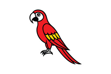 Fototapeta premium parrot on white background