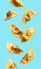 Tasty fried gyoza (dumplings) with sesame seeds falling on light blue background